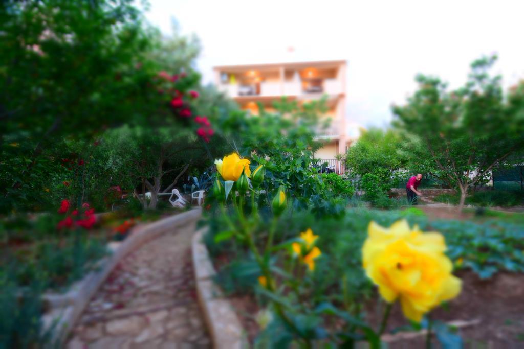 Silvana Sunset View Apartman *